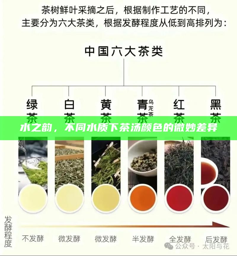 水之韵,不同水质下茶汤颜色的微妙差异